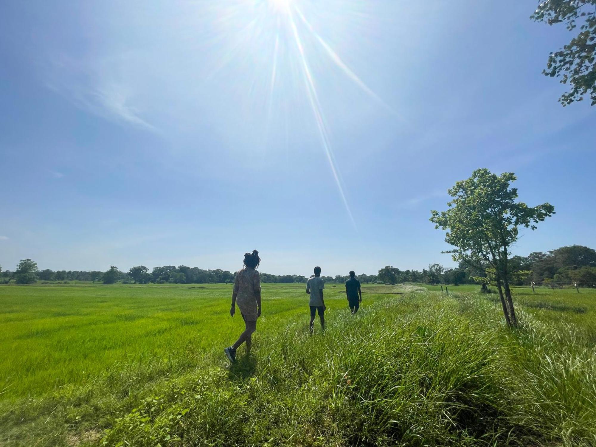 Sahana Retreat Buttala Buitenkant foto