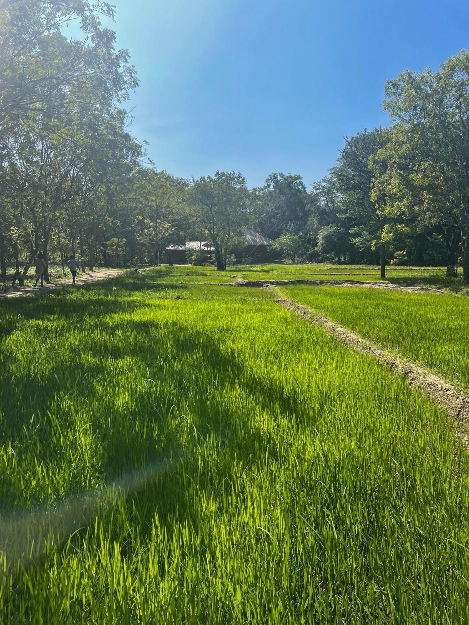 Sahana Retreat Buttala Buitenkant foto