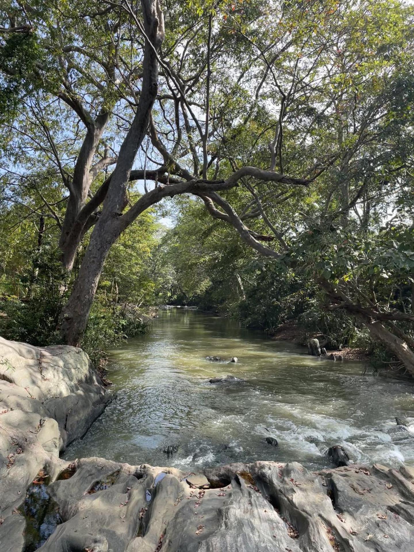 Sahana Retreat Buttala Buitenkant foto