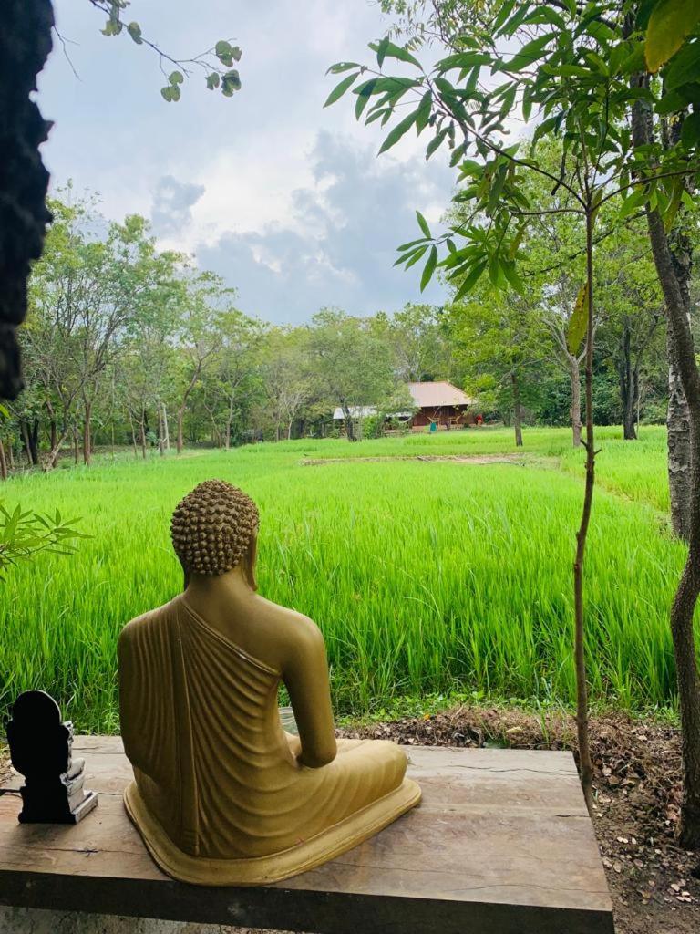 Sahana Retreat Buttala Buitenkant foto