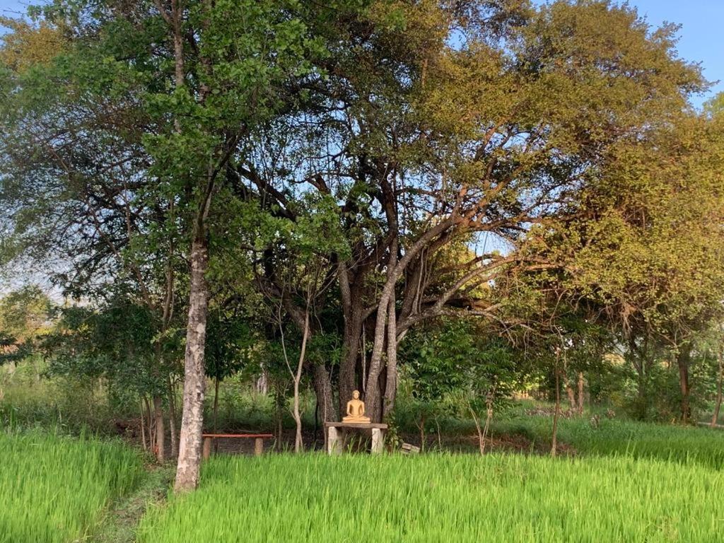 Sahana Retreat Buttala Buitenkant foto