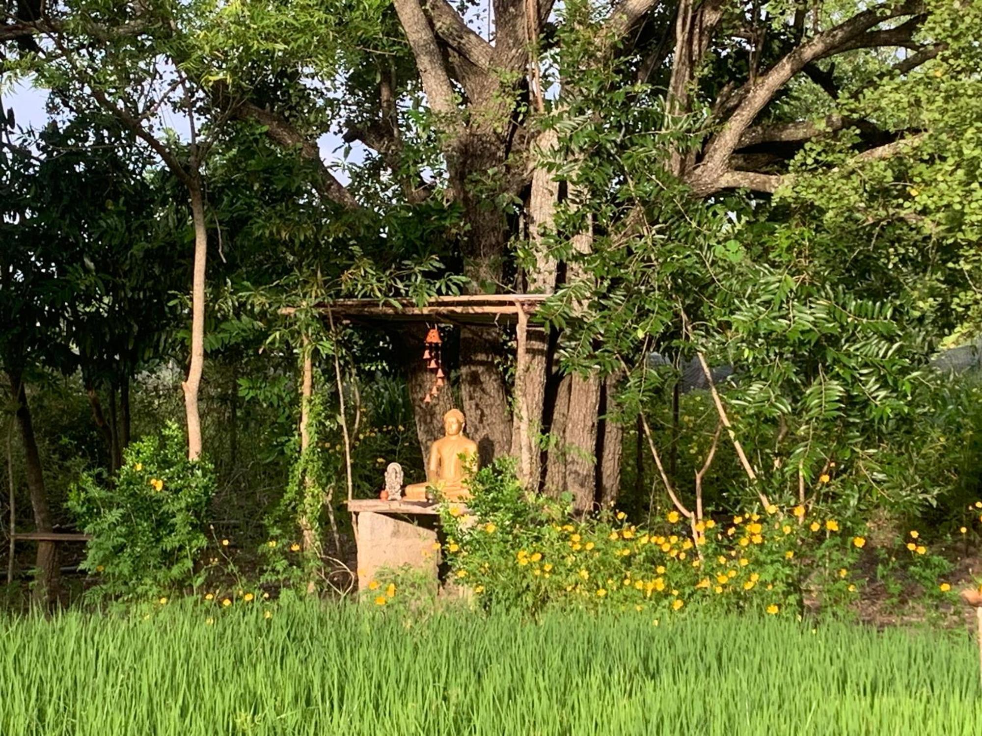 Sahana Retreat Buttala Buitenkant foto