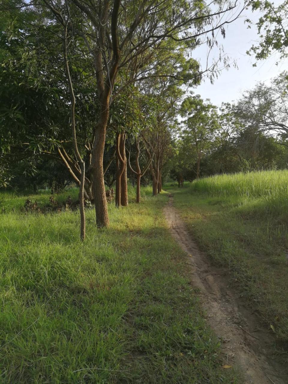 Sahana Retreat Buttala Buitenkant foto